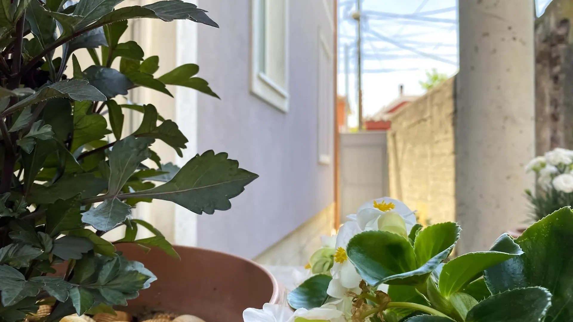 Northgate Apart-Villa Shkodër Appartement